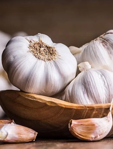 Garlic